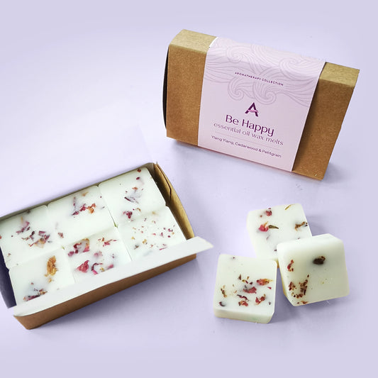 Open box showing 6 individual square wax melts